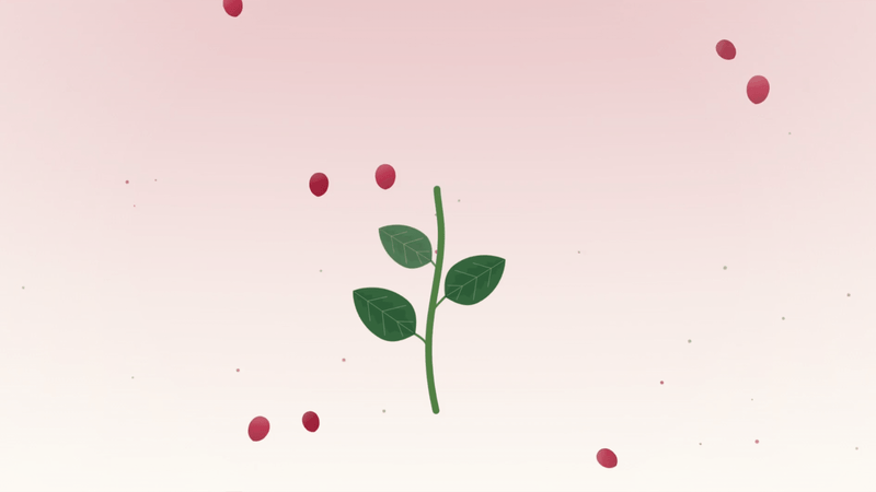 Animated preview of the Rose Blossom gesture